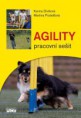 Agility pracovní sešit